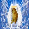 Avatar of marfranco027