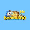 Avatar of BANCA300 BIZ