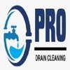 Avatar of prodraincleaninglosangeles