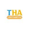 Avatar of Link Thabet