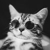 Avatar of kattzze