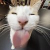 Avatar of Sp00ky