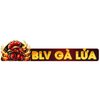 Avatar of BLV Gà Lửa