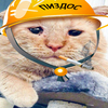 Avatar of Joey_Raamun