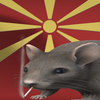 Avatar of The Self Proclaimed Ambassador Of Paint 3D