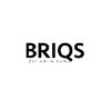 Avatar of Briqs
