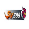 Avatar of SV388
