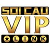 Avatar of soicaulovip