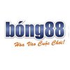 Avatar of keonhacaibong88