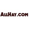 Avatar of AllHay.com