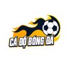 Avatar of Trang cá độ bóng đá