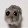 Avatar of popjciymez12y