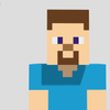 Avatar of minecraft_voxel_models