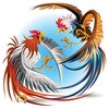Avatar of Đá gà trực tiếp - Dagatt.com