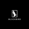 Avatar of Black Bird