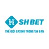 Avatar of sshbetiovn