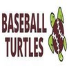 Avatar of Baseball Turtles