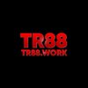 Avatar of TR88