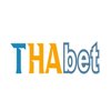 Avatar of thabetguide
