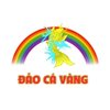 Avatar of daocavang