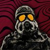 Avatar of Walther_White