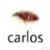 Avatar of CARLOSs77