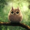 Avatar of DowDL