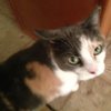 Avatar of Marsha.Modderno
