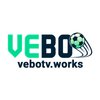 Avatar of Vebotv Works