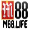 Avatar of M88