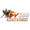 Avatar of đá gà sv388