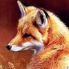 Avatar of MadFox