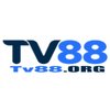 Avatar of Tv88