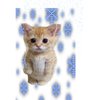 Avatar of mephone