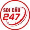 Avatar of Lô Đẹp Hôm Nay 247