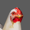 Avatar of Raluca Cocos