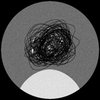Avatar of rax.tracks