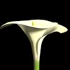 Avatar of jul1o