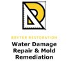 Avatar of Bryter Restoration of Wilmington