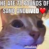 Avatar of ajisgoodatgeography