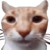 Avatar of giggity