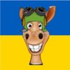 Avatar of ModestDonkey