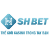 Avatar of shbetfsts