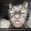 Avatar of smothie_bean