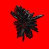 Avatar of sadsatan