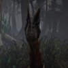 Avatar of dilopereyra442