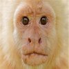 Avatar of boyfnf2023
