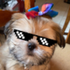Avatar of MagictheTragic