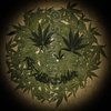 Avatar of LKSHash
