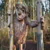Avatar of Marco Bufo